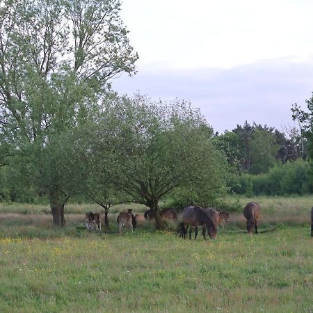 B&B, huisje, Het Kleine Genoegen Schayk Buitenkant foto