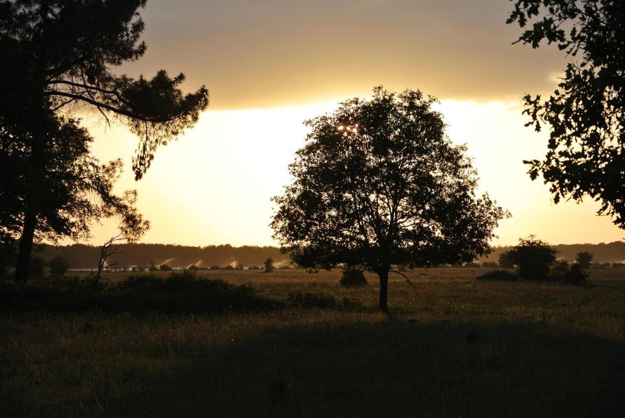 B&B, huisje, Het Kleine Genoegen Schayk Buitenkant foto