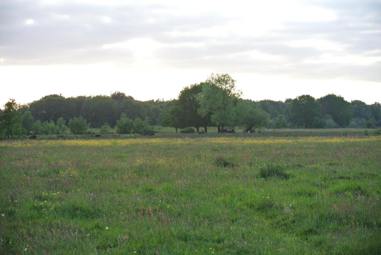 B&B, huisje, Het Kleine Genoegen Schayk Buitenkant foto